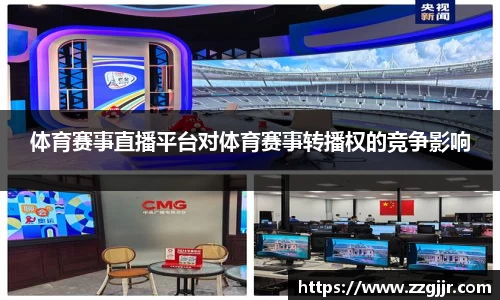 体育赛事直播平台对体育赛事转播权的竞争影响